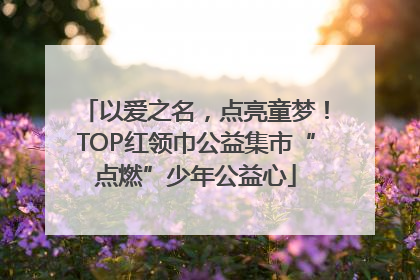 以爱之名，点亮童梦！TOP红领巾公益集市“点燃”少年公益心